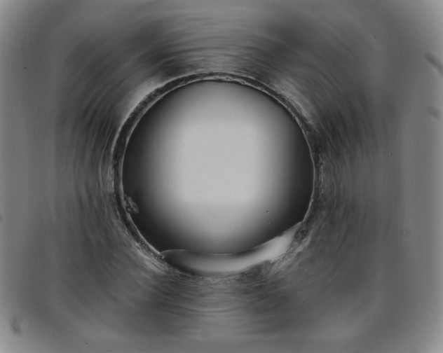 X0000098130924200804241646