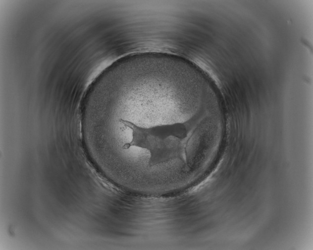 X0000098130925200804241646