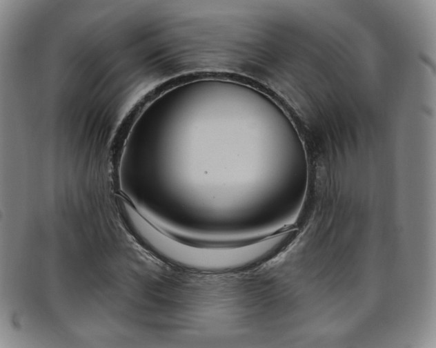 X0000098130926200804241646