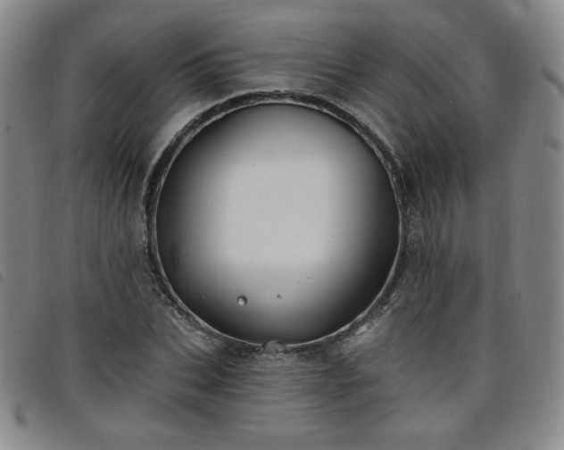 X0000098130927200804241646