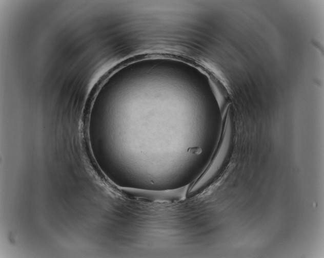 X0000098130928200804241646