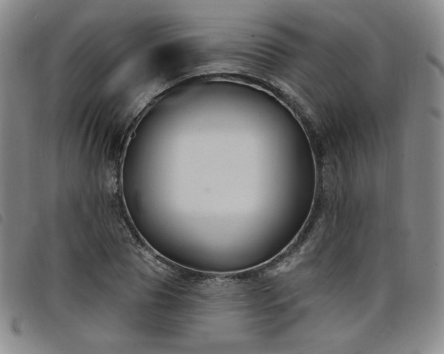 X0000098130929200804241646