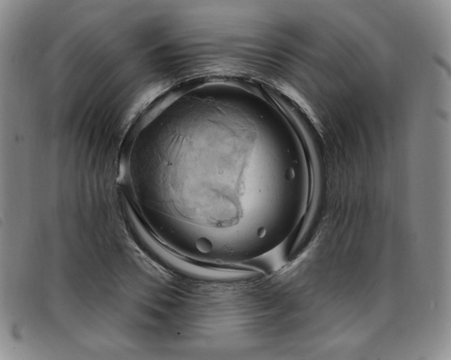 X0000098130930200804241646