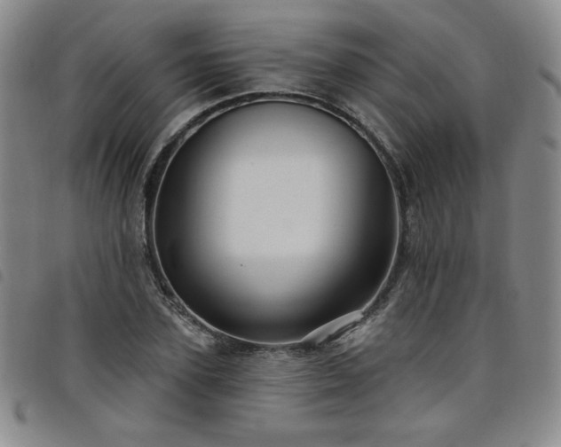 X0000098130931200804241646