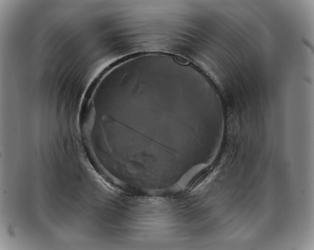 X0000098130932200804241646