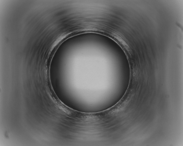 X0000098130933200804241646