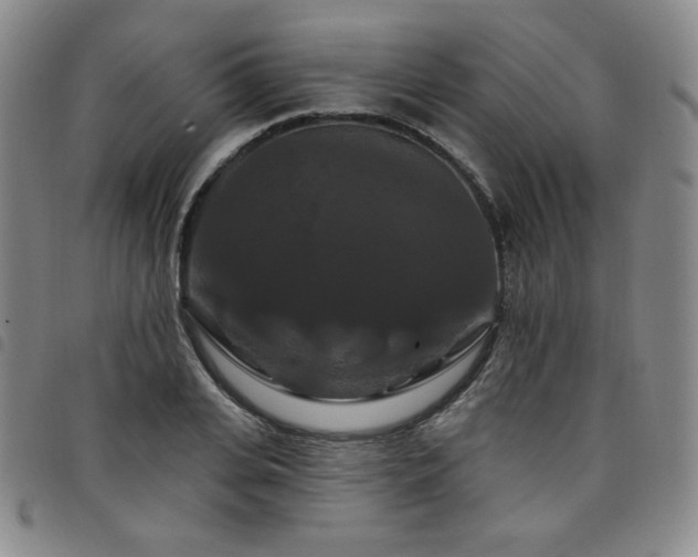 X0000098130935200804241646