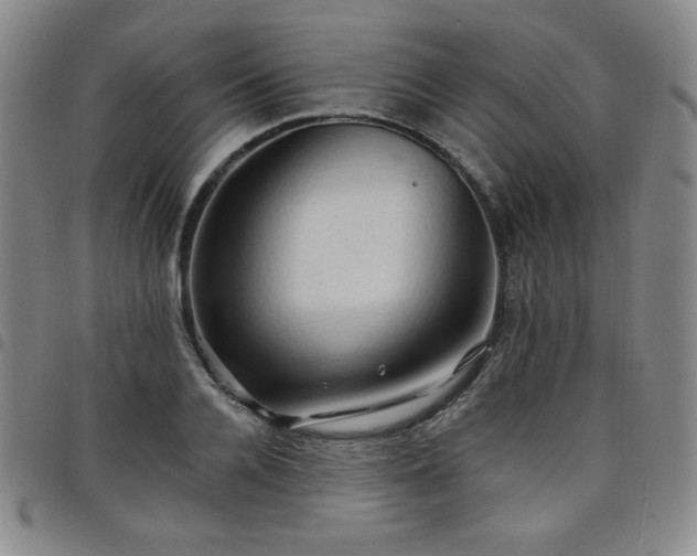 X0000098130936200804241646