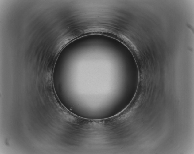 X0000098130937200804241646