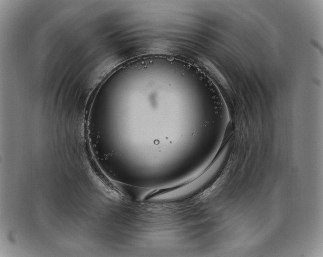 X0000098130938200804241646