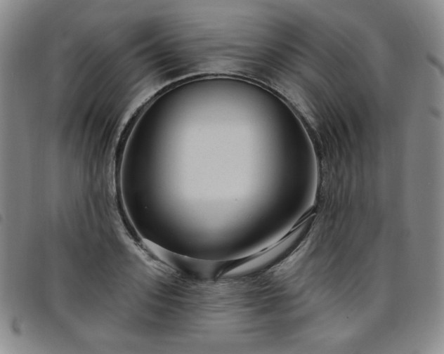 X0000098130939200804241646