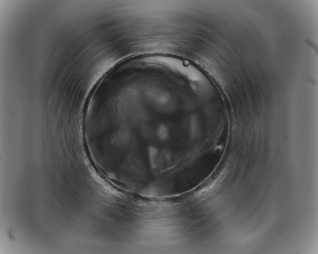 X0000098130941200804241646