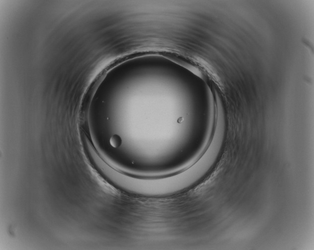 X0000098130942200804241646