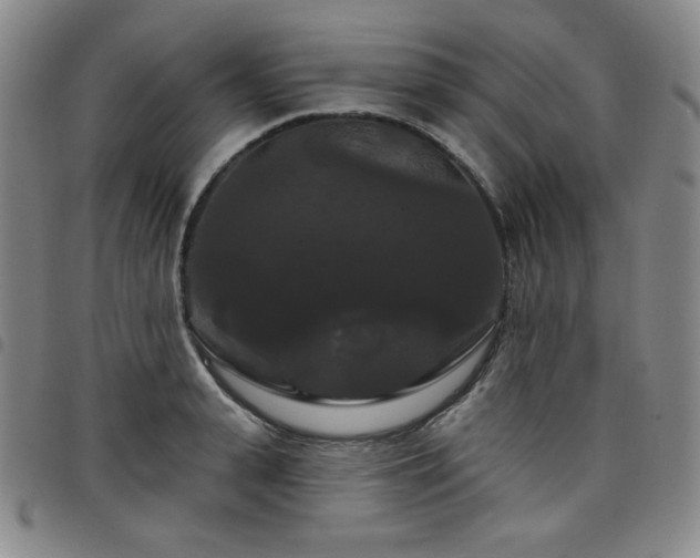 X0000098130943200804241646