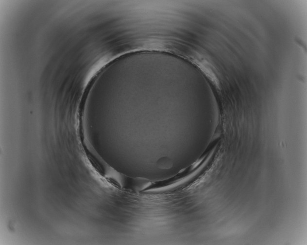 X0000098130944200804241646