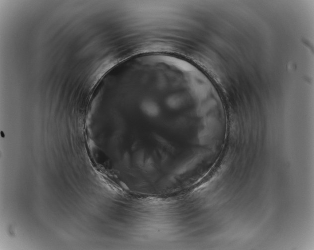 X0000098130945200804241646