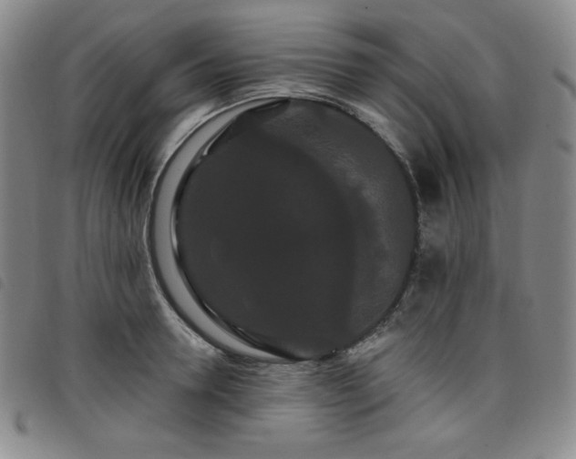 X0000098130946200804241646