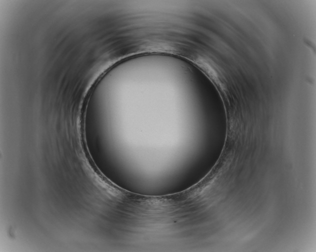 X0000098130947200804241646