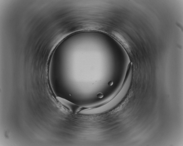 X0000098130948200804241646