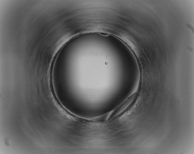X0000098130949200804241646