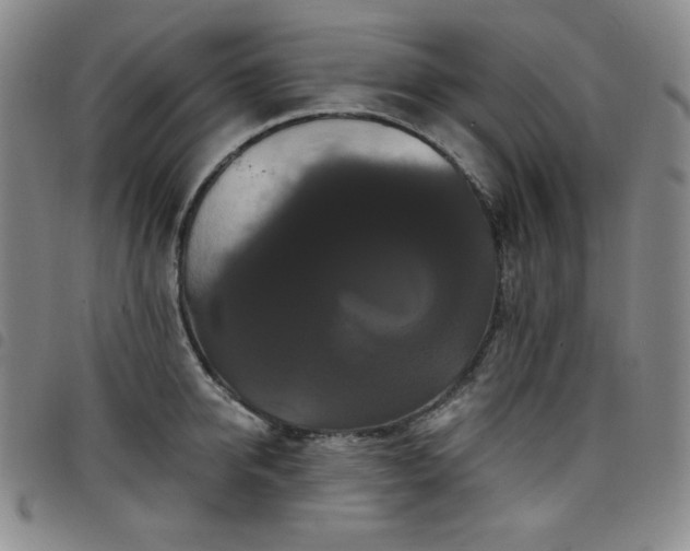 X0000098130950200804241646