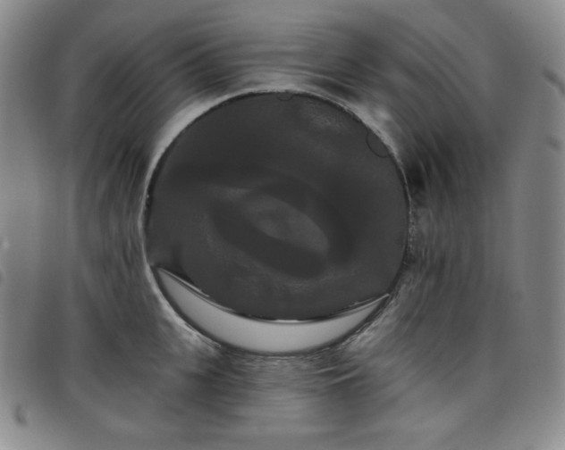 X0000098130951200804241646