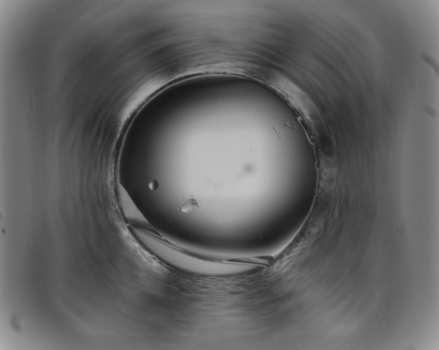 X0000098130952200804241646