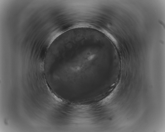 X0000098130953200804241646