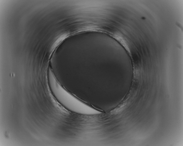 X0000098130954200804241646