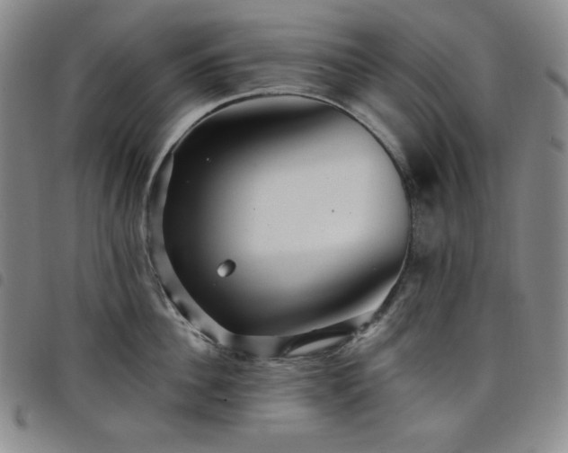 X0000098130956200804241646