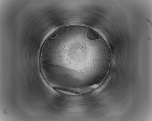X0000098130957200804241646