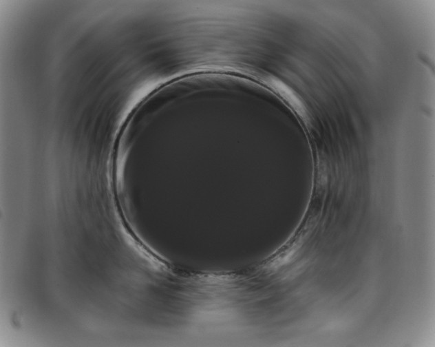 X0000098130958200804241646