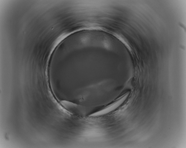 X0000098130959200804241646