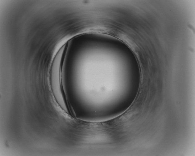 X0000098130960200804241646
