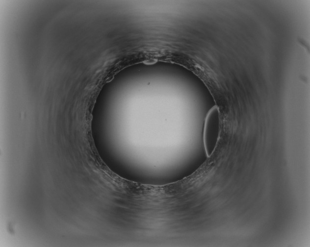 X0000098130961200804241646