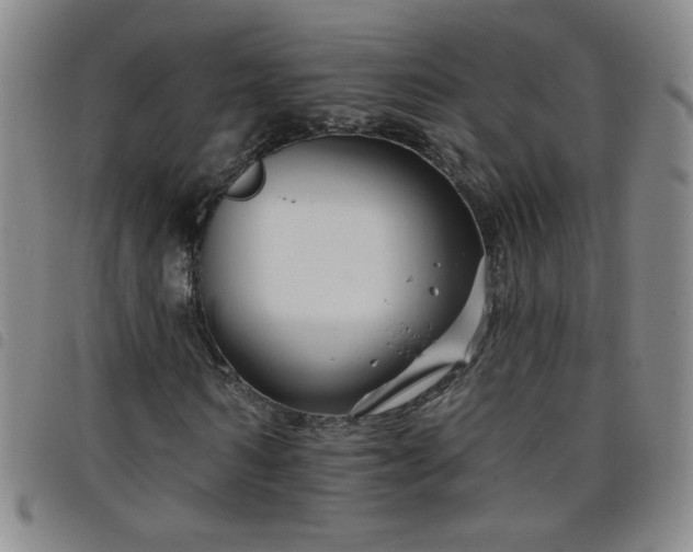 X0000098130962200804241646