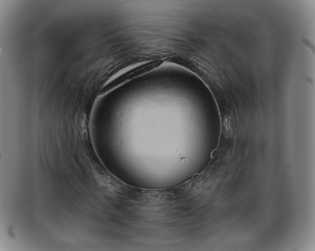 X0000098130963200804241646