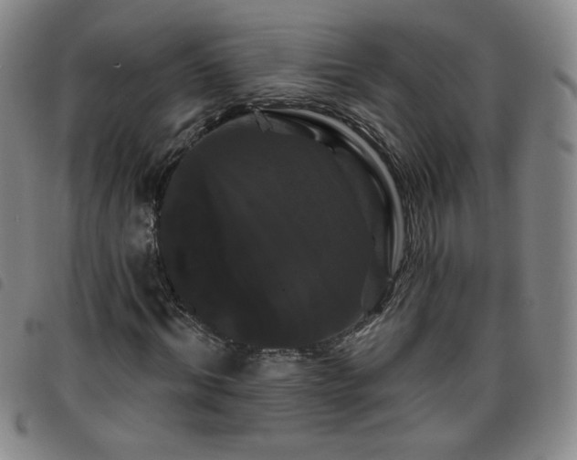 X0000098130964200804241646