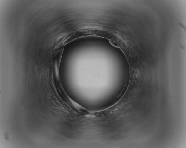 X0000098130965200804241646