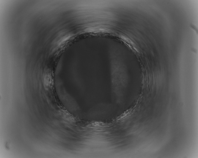 X0000098130966200804241646