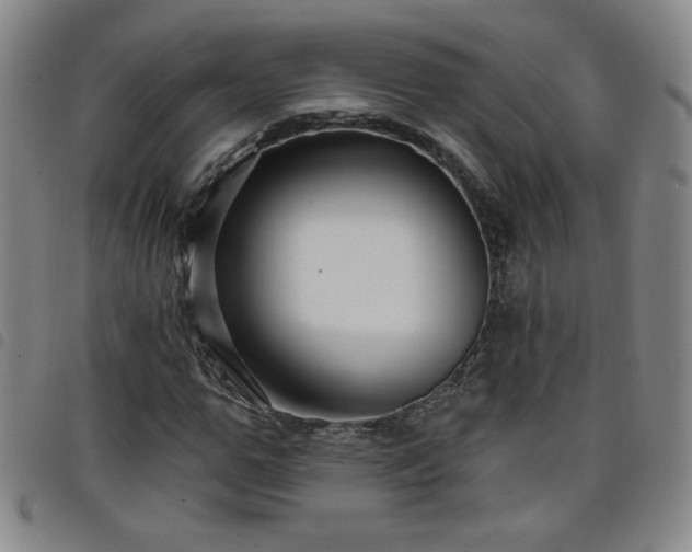 X0000098130967200804241646