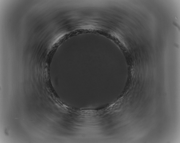 X0000098130968200804241646