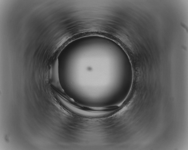 X0000098130969200804241646