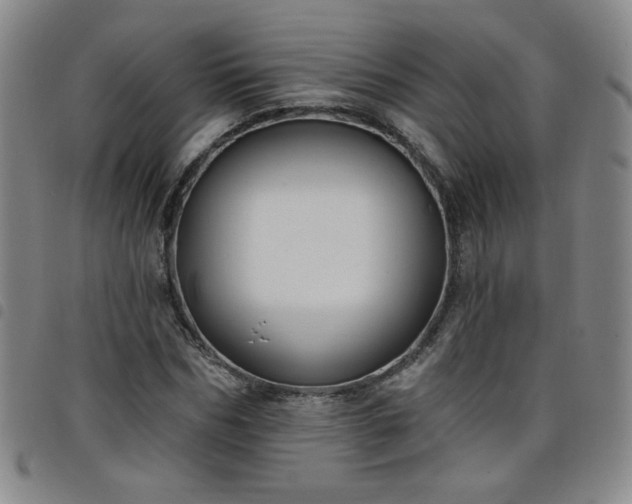 X0000098130970200804241646