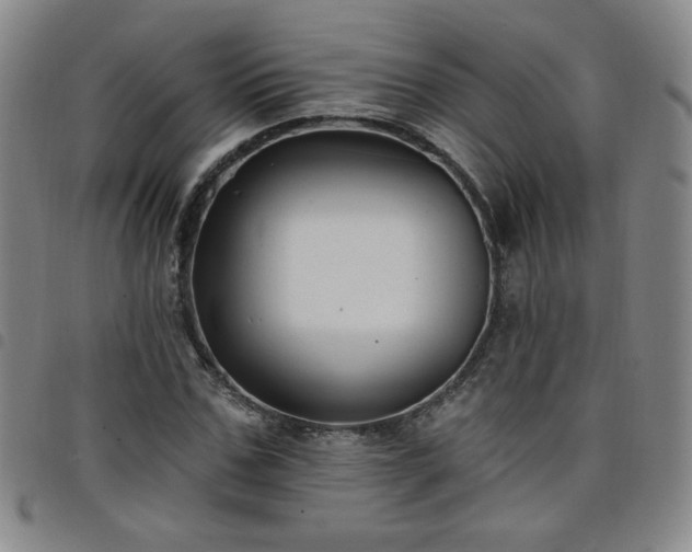 X0000098130971200804241646
