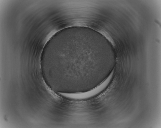 X0000098130972200804241646