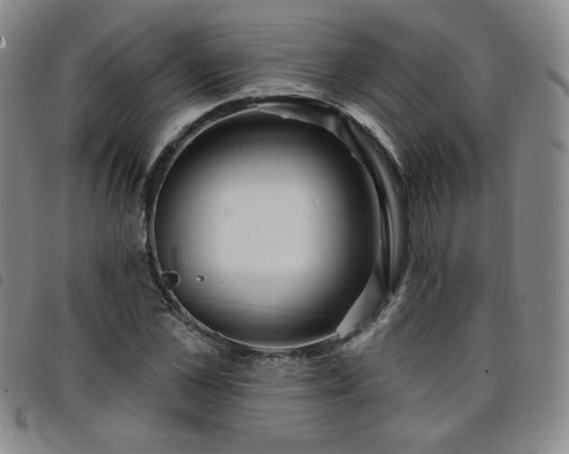X0000098130973200804241646