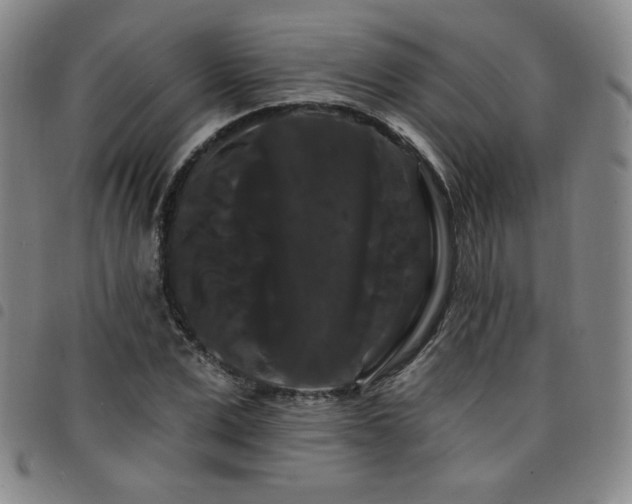 X0000098130975200804241646