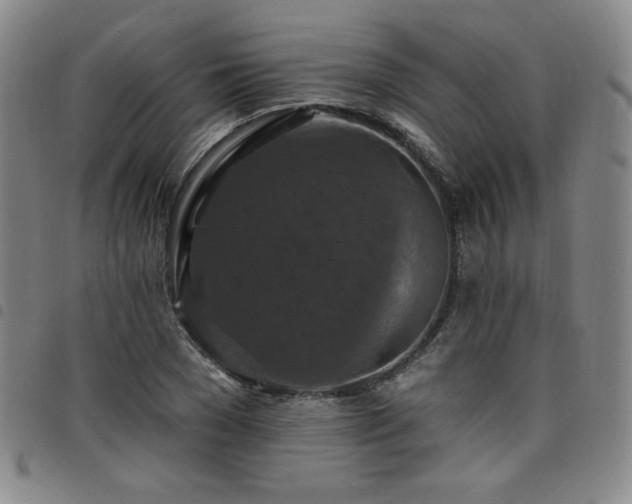 X0000098130977200804241645