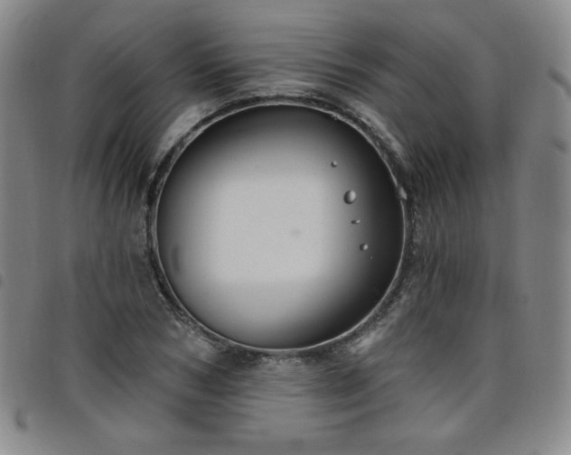 X0000098130978200804241645